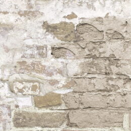Timeworn Brick